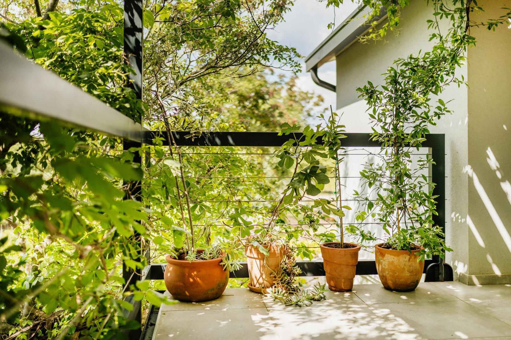 Peroj'S Green Oasis - Holiday Home Exteriér fotografie